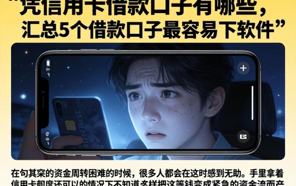 凭信用卡借款口子有哪些，汇总5个借款口子最容易下软件