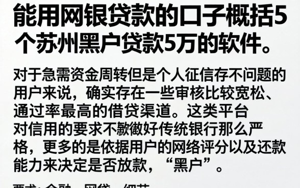 能用网银贷款的口子，概括5个苏州黑户贷款5万的软件