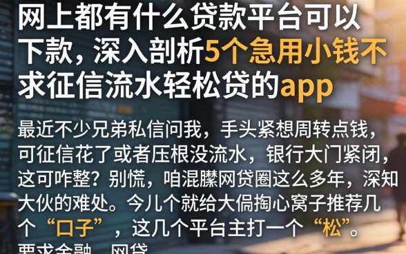 网上都有什么贷款平台可以下款,深入剖析5个急用小钱不求征信流水轻松贷的app