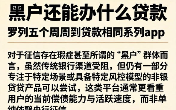 黑户还能办什么贷款，罗列五个周周到贷款相同系列的app