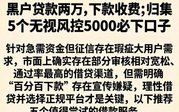 黑户贷款两万,下款收费，归集5个无视风控5000必下口子