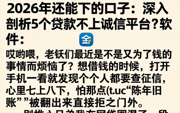 2026年还能下的口子，深入剖析5个贷款不上诚信平台的软件