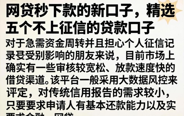 网贷秒下款的新口子，精选五个不上征信的贷款口子