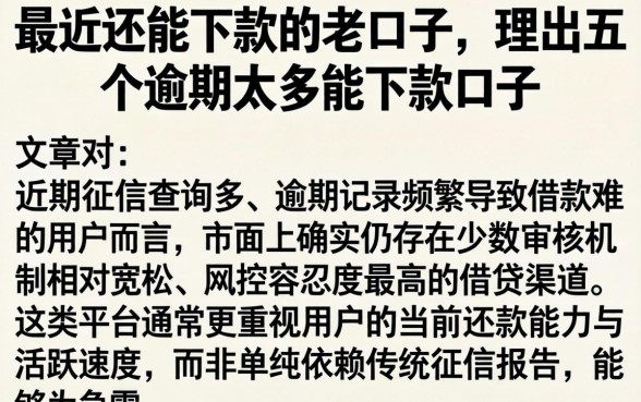 最近还能下款的老口子，理出五个逾期太多能下款口子