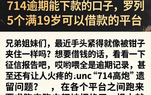 714逾期能下款的口子，罗列5个满19岁可以借款的平台