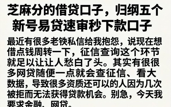 芝麻分的借贷口子，归纳五个新号易贷速审秒下款口子