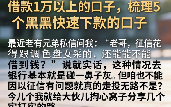 借款1万以上的口子，梳理5个黑户快速下款的口子