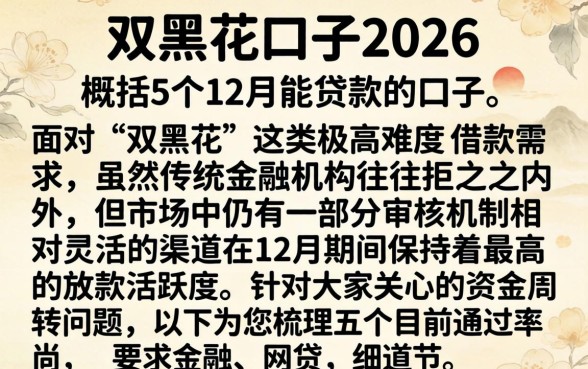 双黑花口子2026，概括5个12月能贷款的口子