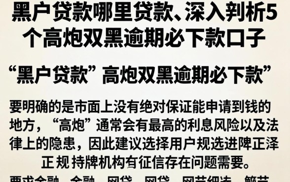 黑户贷款哪里贷款，深入剖析5个高炮双黑逾期必下款口子