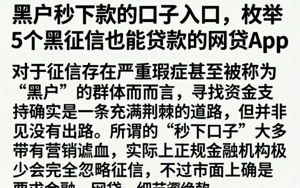 黑户秒下款的口子入口，枚举5个黑征信也能贷款的网贷app