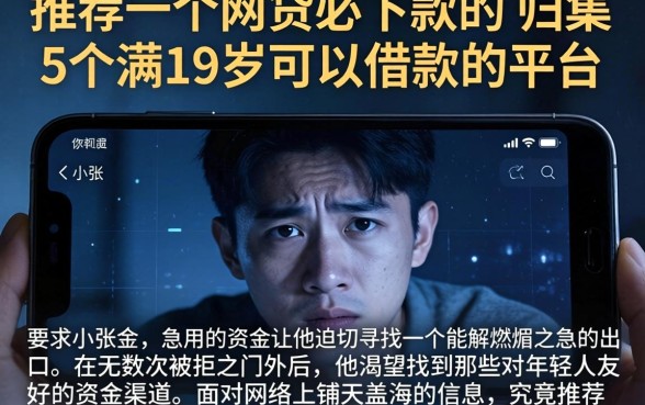 推荐一个网贷必下款的，归集5个满19岁可以借款的平台