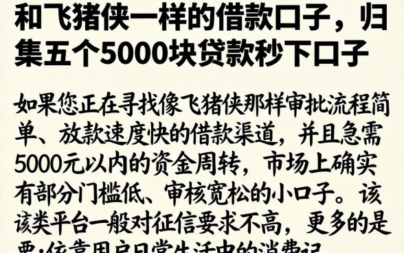 和飞猪侠一样的借款口子，归集五个5000块贷款秒下口子