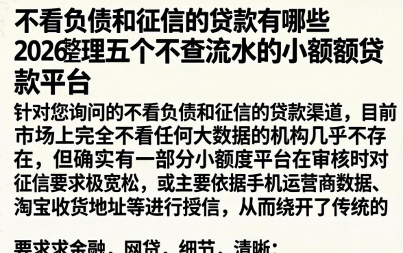 不看负债和征信的贷款有哪些2026，整理五个不查流水的小额度贷款平台