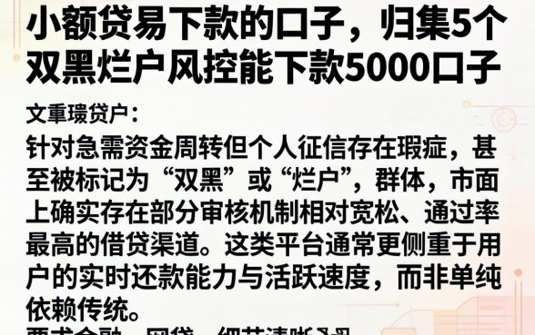 小额贷易下款的口子，归集5个双黑烂户风控能下款5000口子