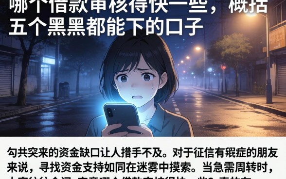 哪个借款审核得快一些，概括五个黑户都能下的口子