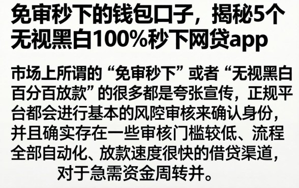 免审秒下的钱包口子，揭秘5个无视黑白100%秒下网贷app