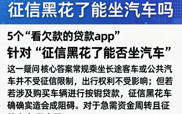 征信黑花了能坐汽车吗，详细阐述5个不看欠款的贷款app