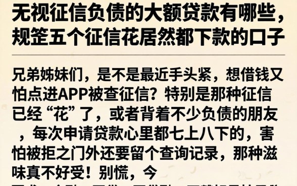 无视征信负债的大额贷款有哪些，规整五个征信花居然都下款的口子