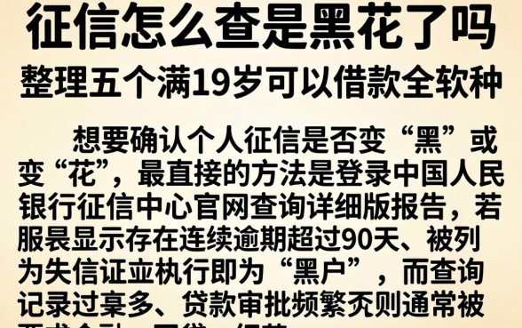 征信怎么查是黑花了吗，整理五个满19岁可以借款的软件
