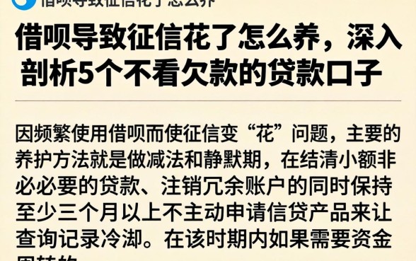 借呗导致征信花了怎么养，深入剖析5个不看欠款的贷款口子