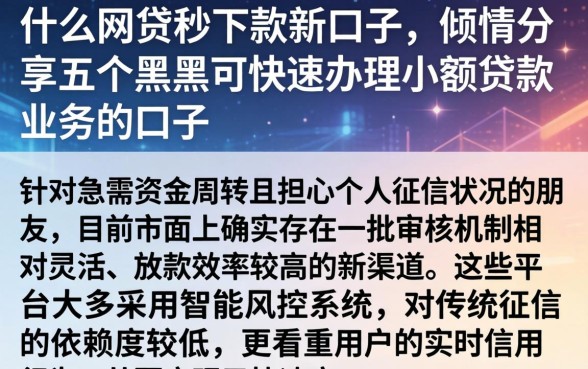 什么网贷秒下款新口子，倾情分享五个黑户可快速办理小额贷款业务的口子