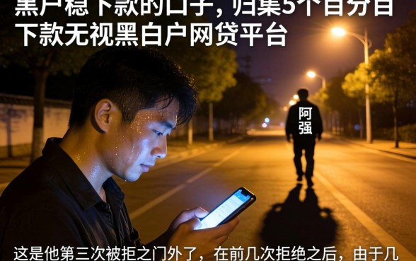 黑户稳下款的口子，归集5个百分百下款无视黑白户网贷平台