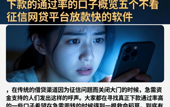 下款的通过率的口子，概览五个不看征信网贷平台放款快的软件