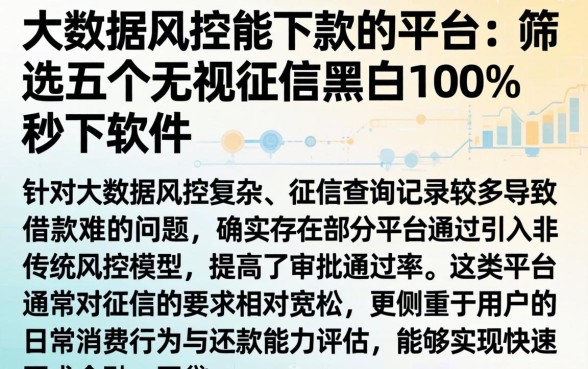 大数据风控能下款的平台，筛选五个无视征信黑白100%秒下软件