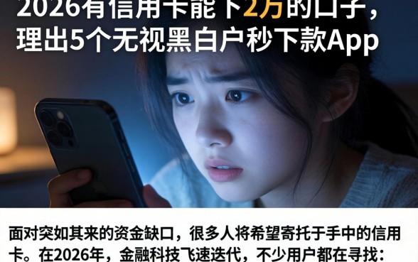 2026有信用卡能下2万的口子，理出5个无视黑白户秒下款app