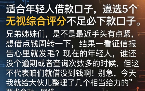 适合年轻人的借款口子，遴选5个无视综合评分不足必下款口子