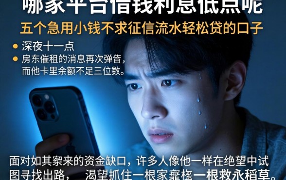 哪家平台借钱利息低点呢，条列五个急用小钱不求征信流水轻松贷的口子