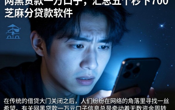 网黑贷款一万口子，汇总五个秒下700芝麻分贷款软件