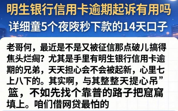 明生银行信用卡逾期起诉有用吗，详尽说明5个夜间秒下款的14天口子
