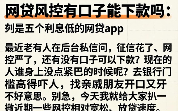 网贷风控有口子能下款吗,条列五个利息低的网贷app