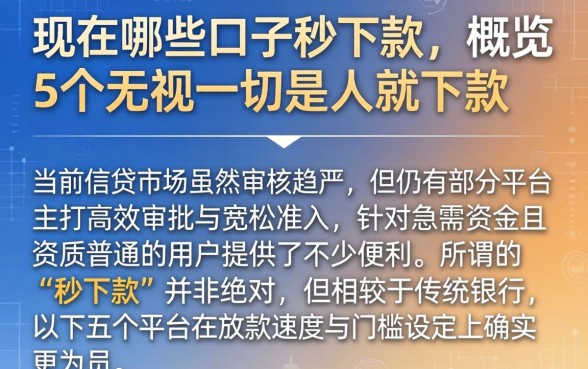 现在哪些口子秒下款，概览5个无视一切是人就下款