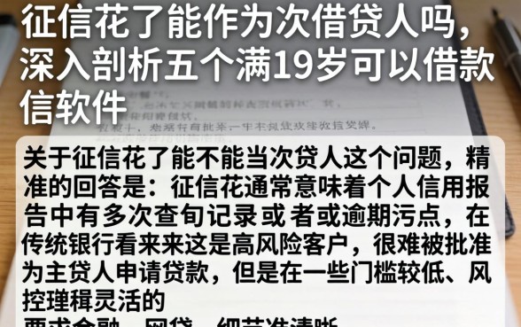 征信花了能作为次贷人吗，深入剖析五个满19岁可以借款的软件