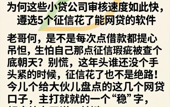 为何这些小贷公司审核速度如此之快，遴选5个征信花了能网贷的软件