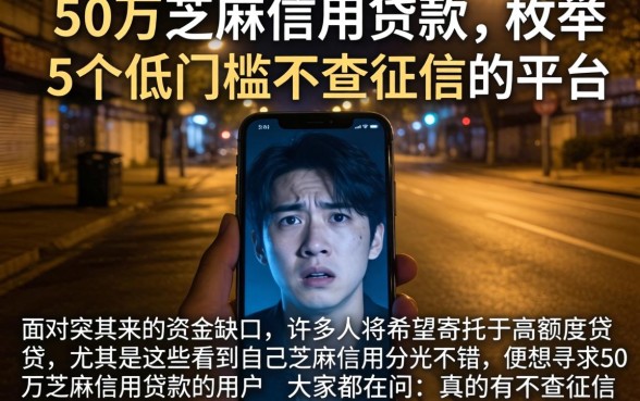 50万芝麻信用贷款，枚举5个低门槛不查征信的平台
