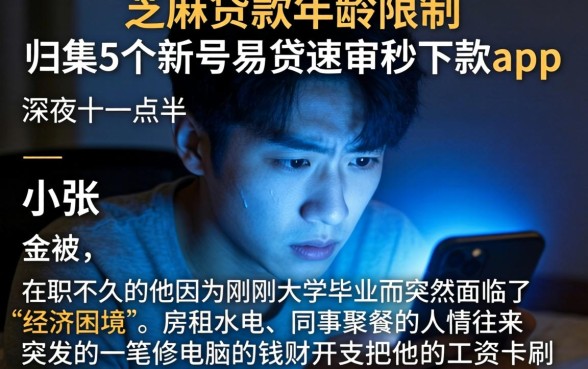 芝麻贷款年龄限制,归集5个新号易贷速审秒下款app