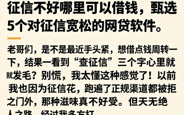 征信不好哪里可以借钱，甄选5个对征信宽松的网贷软件