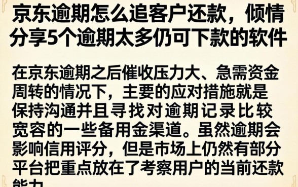 京东逾期怎么追客户还款，倾情分享5个逾期太多仍可下款的软件