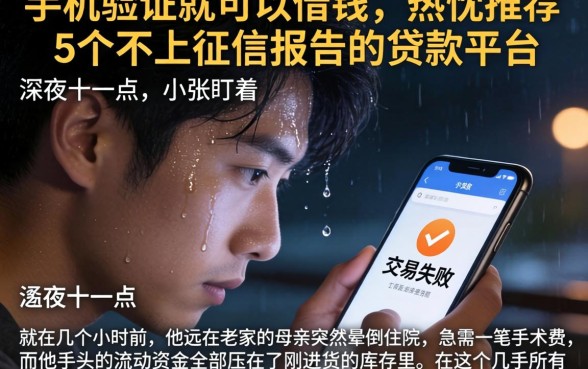 手机验证就可以借钱，热忱推荐5个不上征信报告的贷款平台