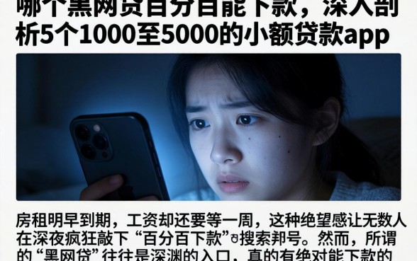 哪个黑网贷百分百能下款，深入剖析5个1000至5000的小额贷款app