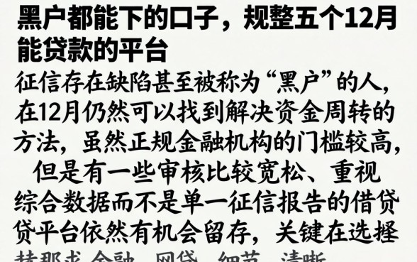 黑户都能下的口子，规整五个12月能贷款的平台
