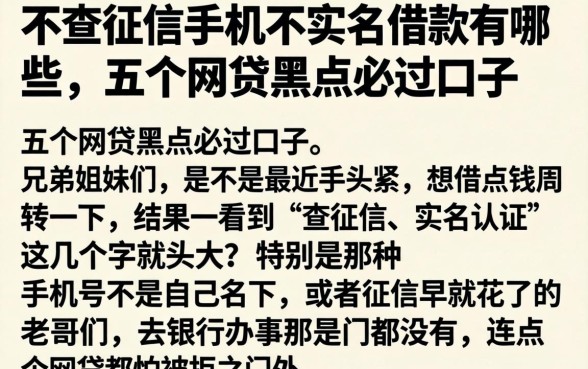 不查征信手机不实名的借款有哪些，详尽说明五个网贷黑户必过口子