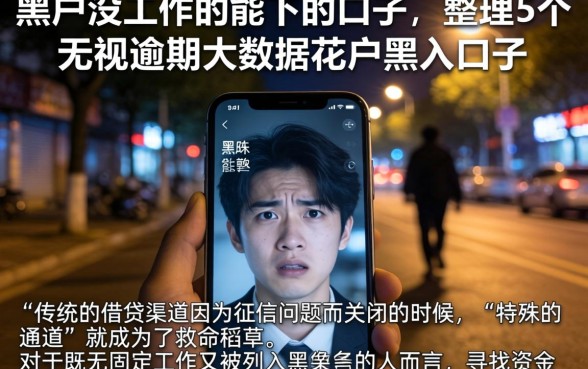 黑户没工作的能下的口子，整理5个无视逾期大数据花户黑户口子