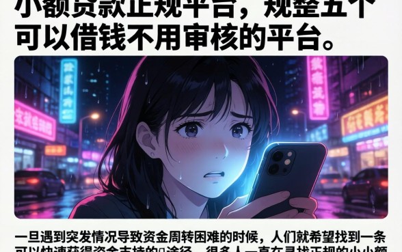 小额贷款正规平台，规整五个可以借钱不用审核的平台