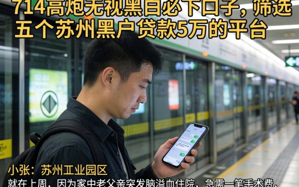 714高炮无视黑白必下口子，筛选五个苏州黑户贷款5万的平台