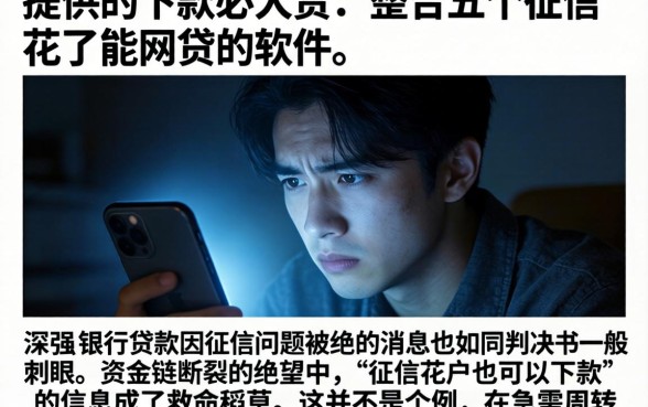 提供的下款必大赏，整合五个征信花了能网贷的软件