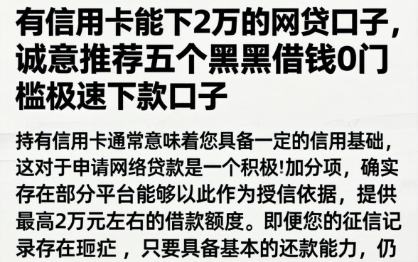 有信用卡能下2万的网贷口子，诚意推荐五个黑户借钱0门槛极速下款口子